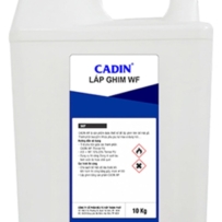 Lấp ghim Fill 101 Cadin cho gỗ