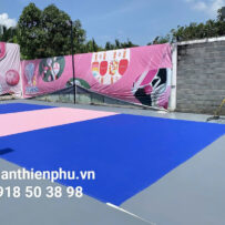 Dịch vụ thi công Sơn sân pickleball giá rẻ uy tín tại Hồ Chí Minh