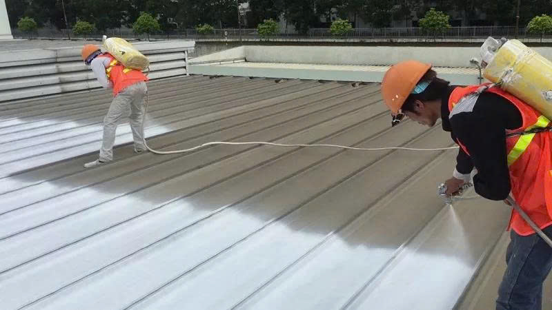 son-chong-nong-kova.