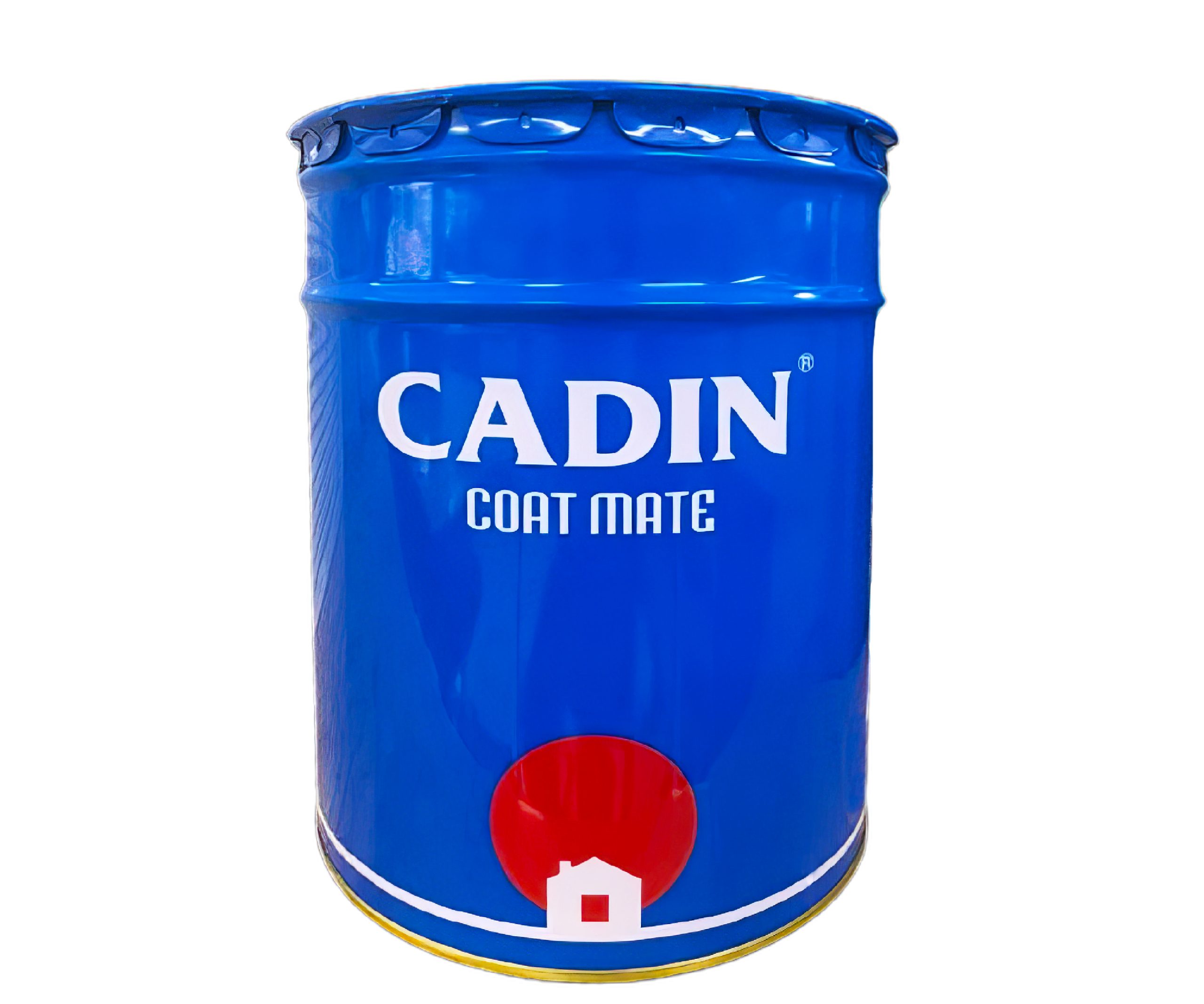 thùng sơn kẻ vạch Cadin 20L