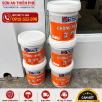 Sơn Chống Thấm Tường Ngoài Nippon WP100