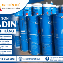 Đại lý sơn Cadin chính hãng giá rẻ