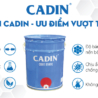 Sơn nền Epoxy Cadin